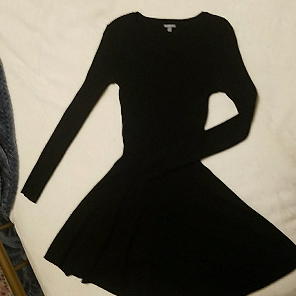 Ribbed Knit Skater Dress